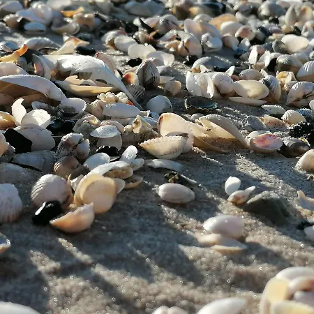 Roland Сasa de vacaciones *